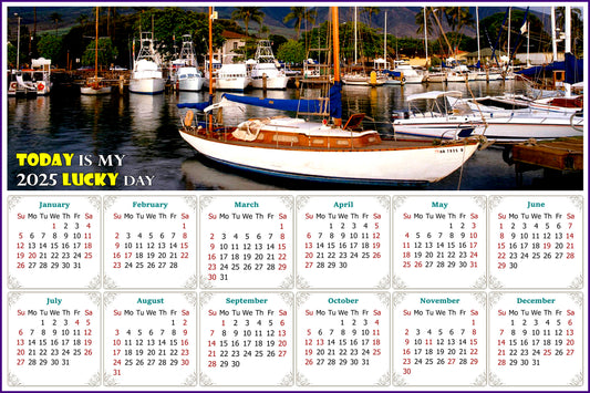 2025 Peel & Stick Calendar - Today is my Lucky Day - Removable, Repositionable - 049 (9"x 6")