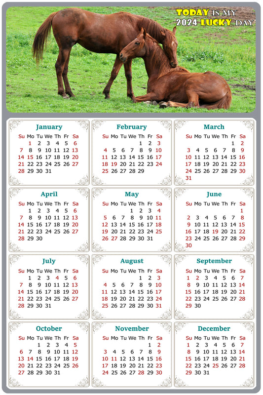 2024 Magnetic Calendar - Calendar Magnets - Today is my Lucky Day - (Fade, Tear, and Water Resistant) - Horses Themed 019