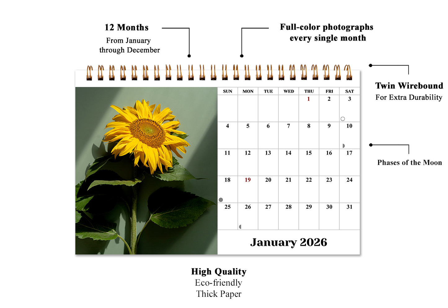 2026-12 Months Desk Calendar Desktop Planner with To-Do List (Sunflowers)