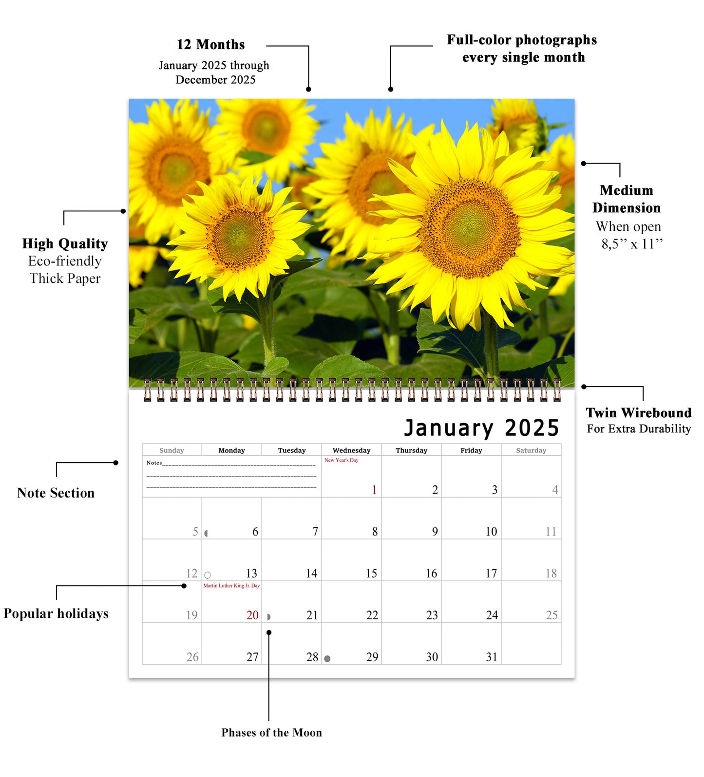 2025 Spiral-bound Wall Calendar (Sunflowers) - 12 Months Desktop/Wall Calendar/Planner (Copy)
