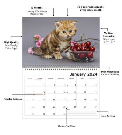 2024 Spiral-bound Wall Calendar (Cats) - 12 Months Desktop/Wall Calendar/Planner
