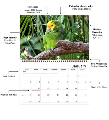 2026 Spiral-bound Wall Calendar (Exotic Birds) - 12 Months Desktop/Wall Calendar/Planner