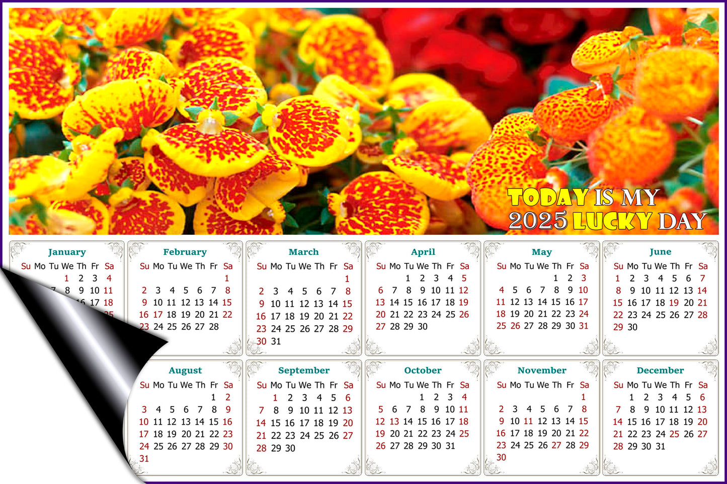 2025 Magnetic Calendar - Calendar Magnets - Today is My Lucky Day - Edition #13