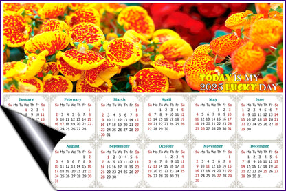 2025 Magnetic Calendar - Calendar Magnets - Today is My Lucky Day - Edition #13