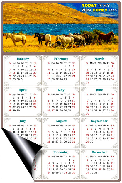 2024 Magnetic Calendar - Calendar Magnets - Today is my Lucky Day - (Fade, Tear, and Water Resistant) - Horses Themed 012
