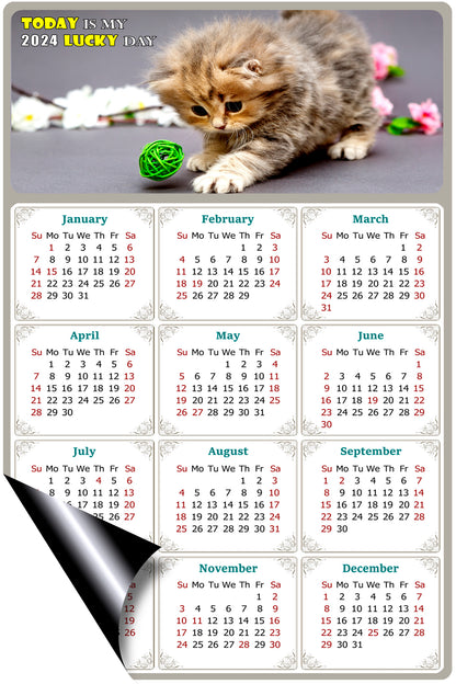 2024 Magnetic Calendar - Today is My Lucky Day (Fade, Tear, and Water Resistant)- Cat Themed 017