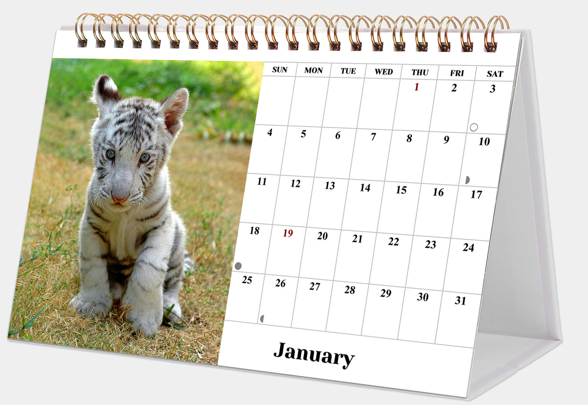 2027-12 Months Desk Calendar Desktop Planner with To-Do List (Baby Animals)