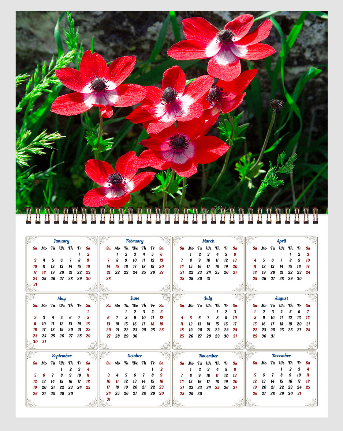 2026 Spiral-bound Wall Calendar (Flowers) - 12 Months Desktop/Wall Calendar/Planner