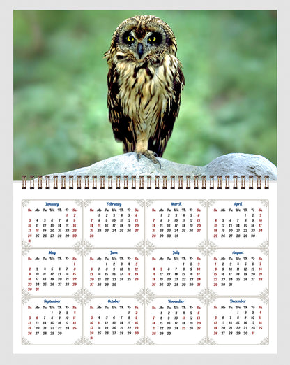 2026 Spiral-bound Wall Calendar (Exotic Birds) - 12 Months Desktop/Wall Calendar/Planner