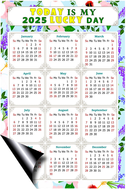 2025 Magnetic Calendar - Calendar Magnets - Today is my Lucky Day - (Fade, Tear, and Water Resistant) - Themed 016
