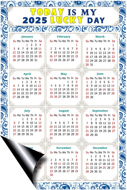 2025 Peel & Stick Calendar - Today is my Lucky Day Removable - 044