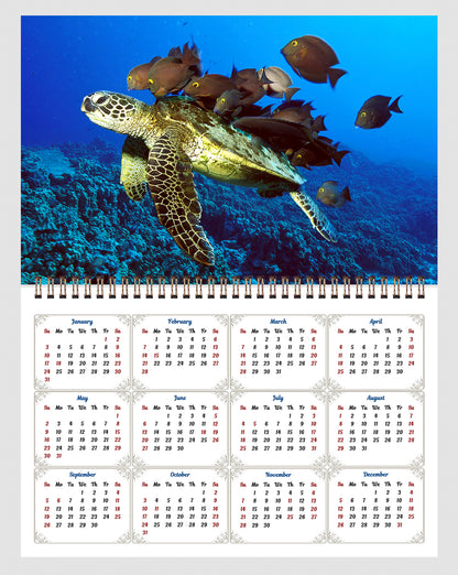 2026 Spiral-bound Wall Calendar (Sea Turtles) - 12 Months Desktop/Wall Calendar/Planner