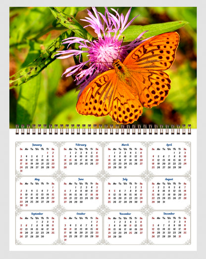 2026 Spiral-bound Wall Calendar (Butterflyes) - 12 Months Desktop/Wall Calendar/Planner