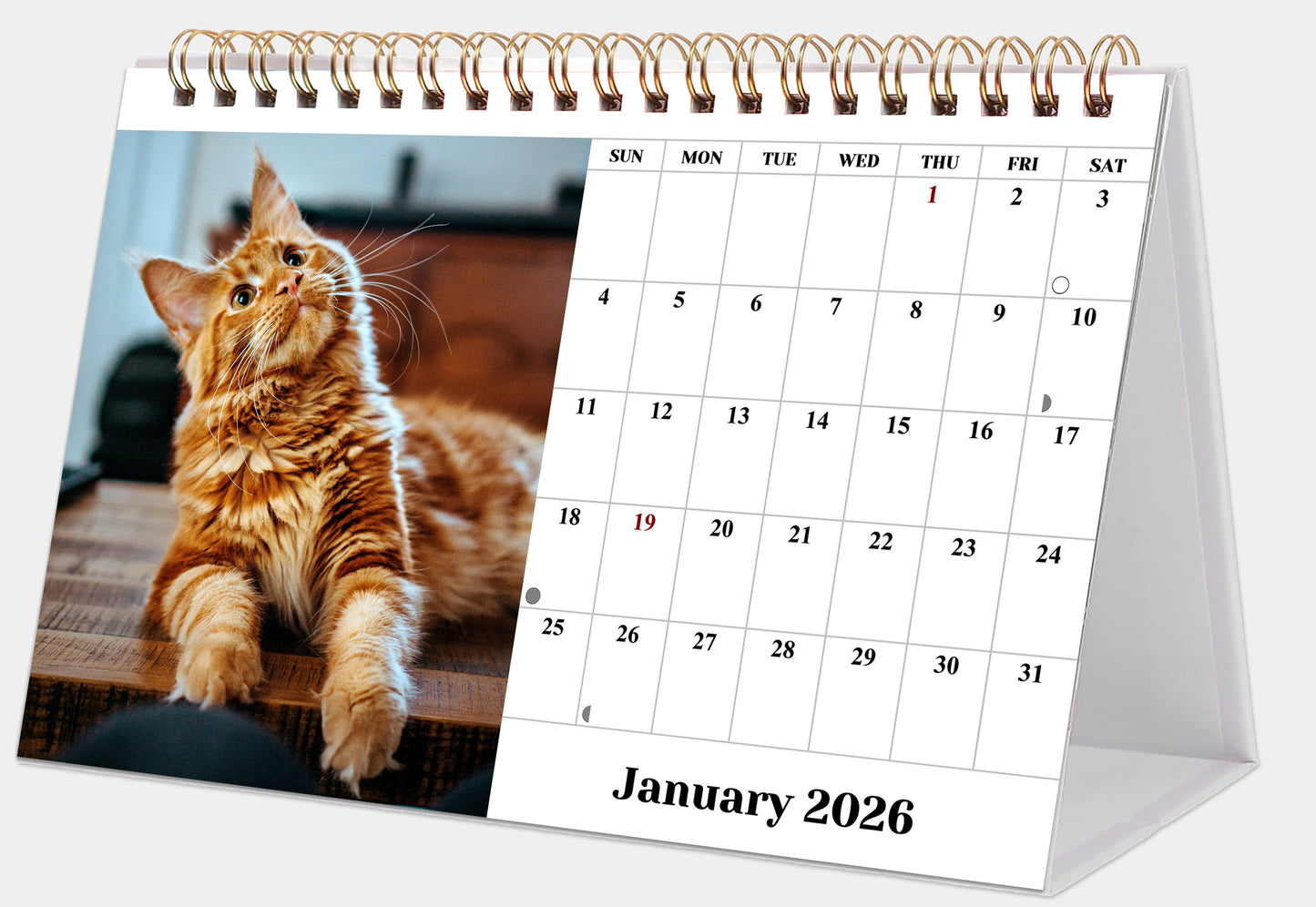 2026-12 Months Desk Calendar Desktop Planner with To-Do List (Cats)