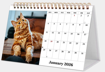 2026-12 Months Desk Calendar Desktop Planner with To-Do List (Cats)
