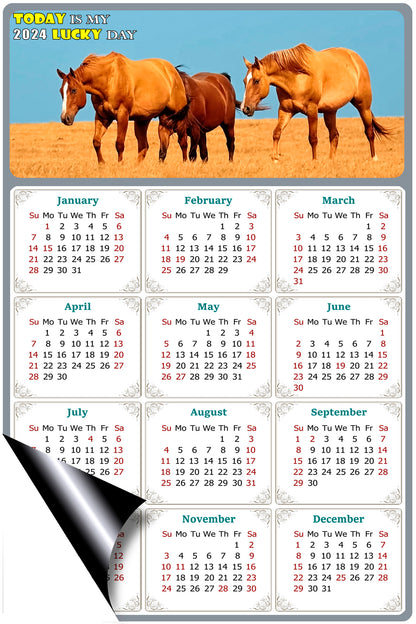 2024 Magnetic Calendar - Calendar Magnets - Today is my Lucky Day - (Fade, Tear, and Water Resistant) - Horses Themed 017