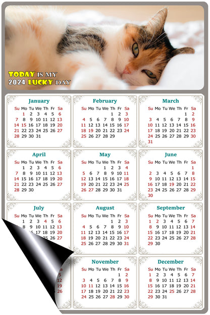 2024 Magnetic Calendar - Today is My Lucky Day (Fade, Tear, and Water Resistant)- Cat Themed 04