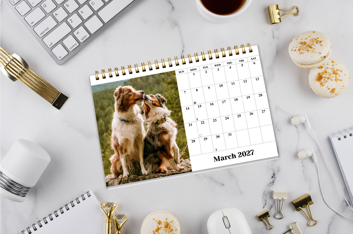 2027-12 Months Desk Calendar Desktop Planner with To-Do List (Dogs)