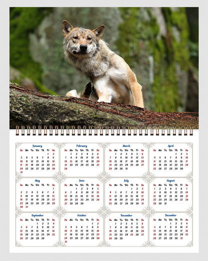 2026 Spiral-bound Wall Calendar (Wolves) - 12 Months Desktop/Wall Calendar/Planner