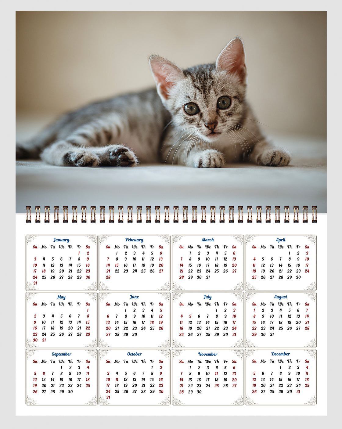 2026 Spiral-bound Wall Calendar (Kittens) - 12 Months Desktop/Wall Calendar/Planner