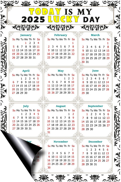 2025 Peel & Stick Calendar - Today is my Lucky Day Removable - 039