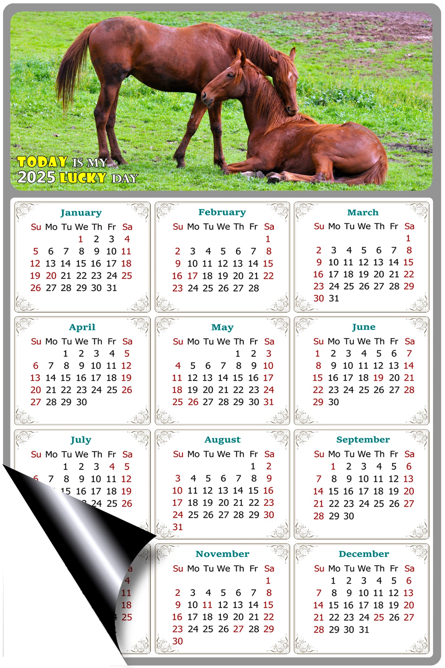 2025 Magnetic Calendar - Calendar Magnets - Today is my Lucky Day - (Fade, Tear, and Water Resistant) - Horses Themed 019