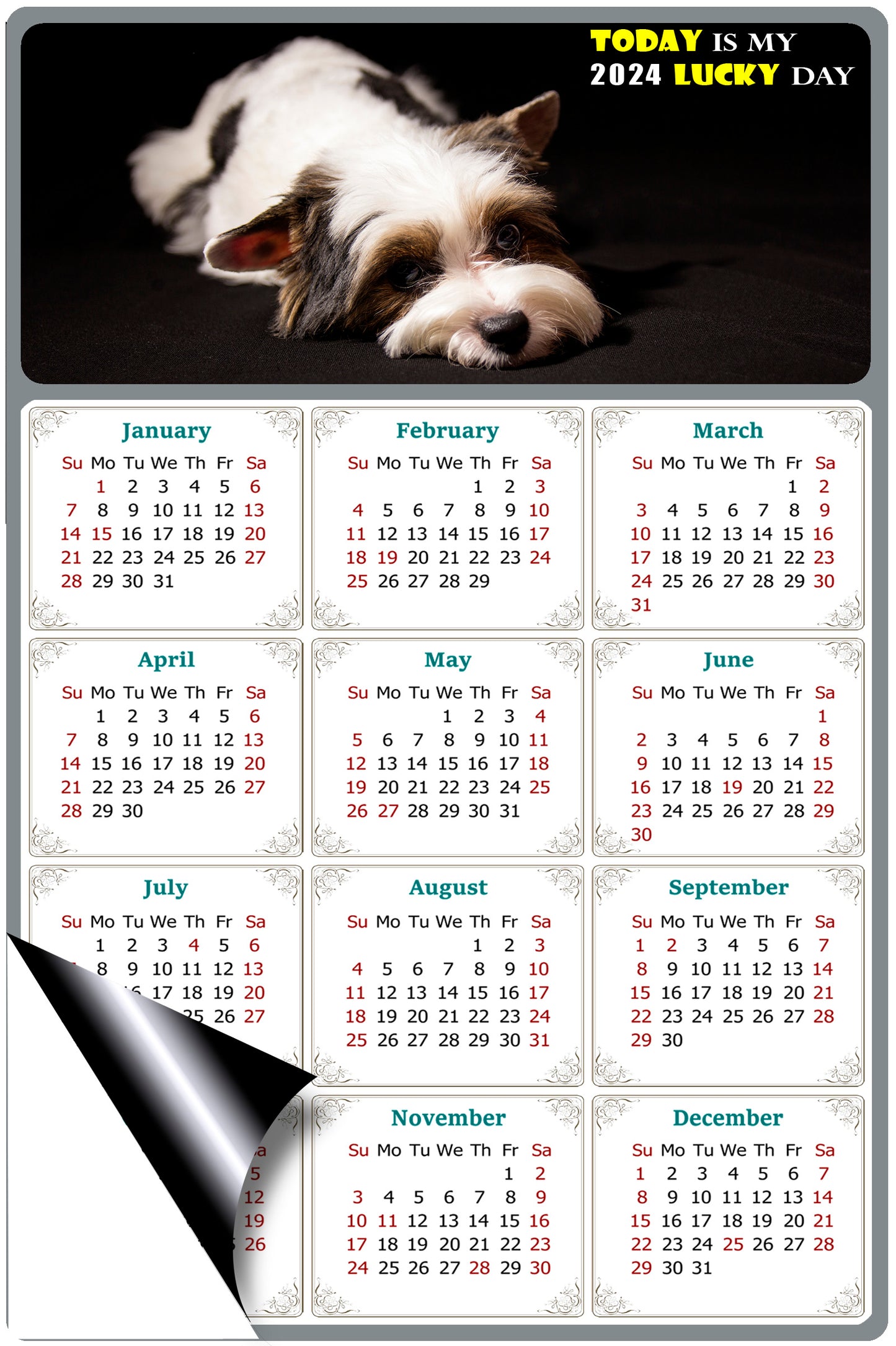 2024 Magnetic Calendar - Today is My Lucky Day (Fade, Tear, and Water Resistant)- Dogs Themed 018
