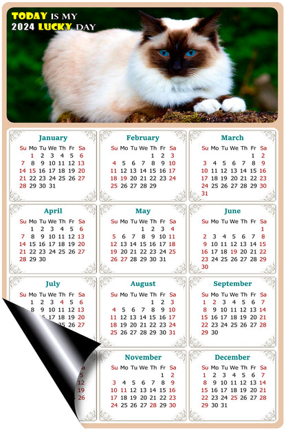 2024 Magnetic Calendar - Today is My Lucky Day (Fade, Tear, and Water Resistant)- Cat Themed 02