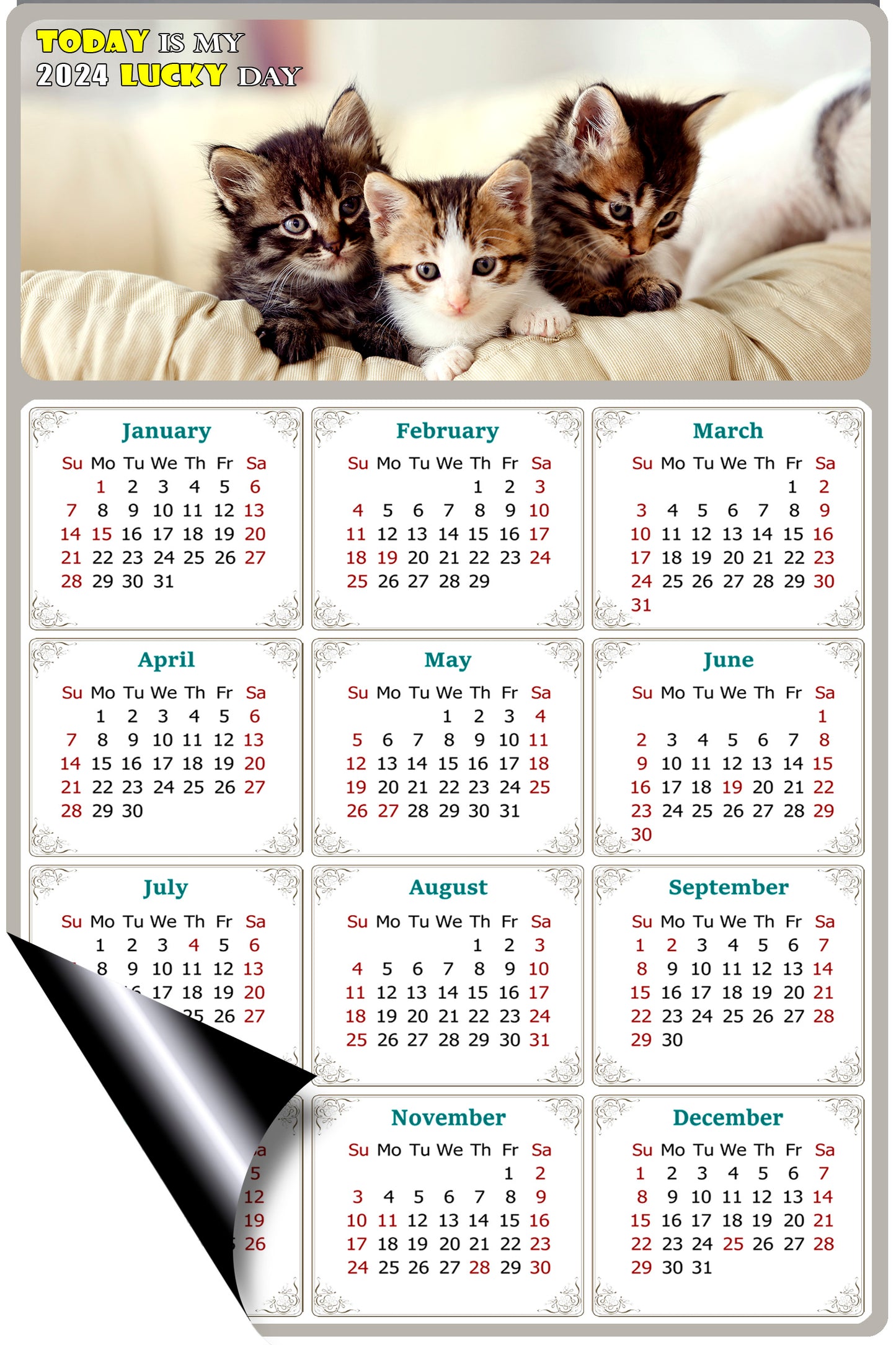 2024 Magnetic Calendar - Today is My Lucky Day (Fade, Tear, and Water Resistant)- Cat Themed 021