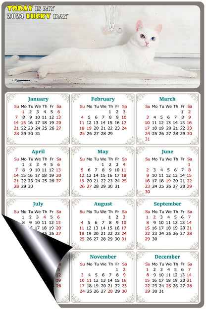 2024 Magnetic Calendar - Today is My Lucky Day (Fade, Tear, and Water Resistant)- Cat Themed 06