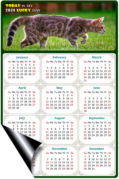 2024 Magnetic Calendar - Today is My Lucky Day (Fade, Tear, and Water Resistant)- Cat Themed 09