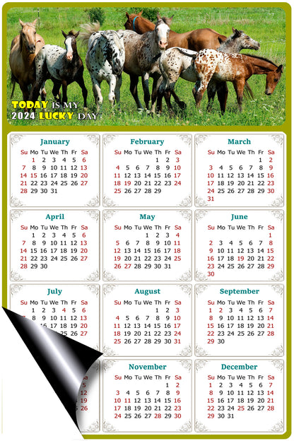 2024 Magnetic Calendar - Calendar Magnets - Today is my Lucky Day - (Fade, Tear, and Water Resistant) - Horses Themed 02