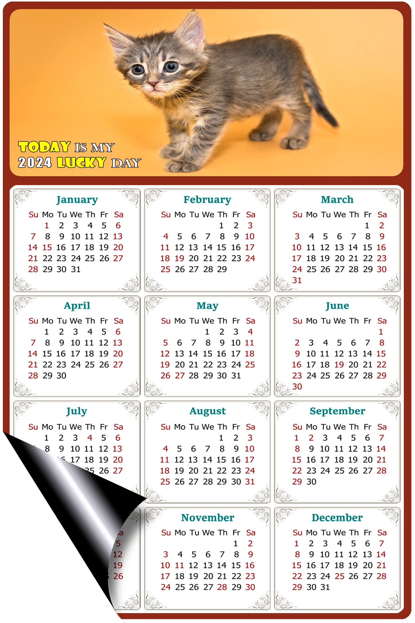 2024 Magnetic Calendar - Today is My Lucky Day (Fade, Tear, and Water Resistant)- Cat Themed 018