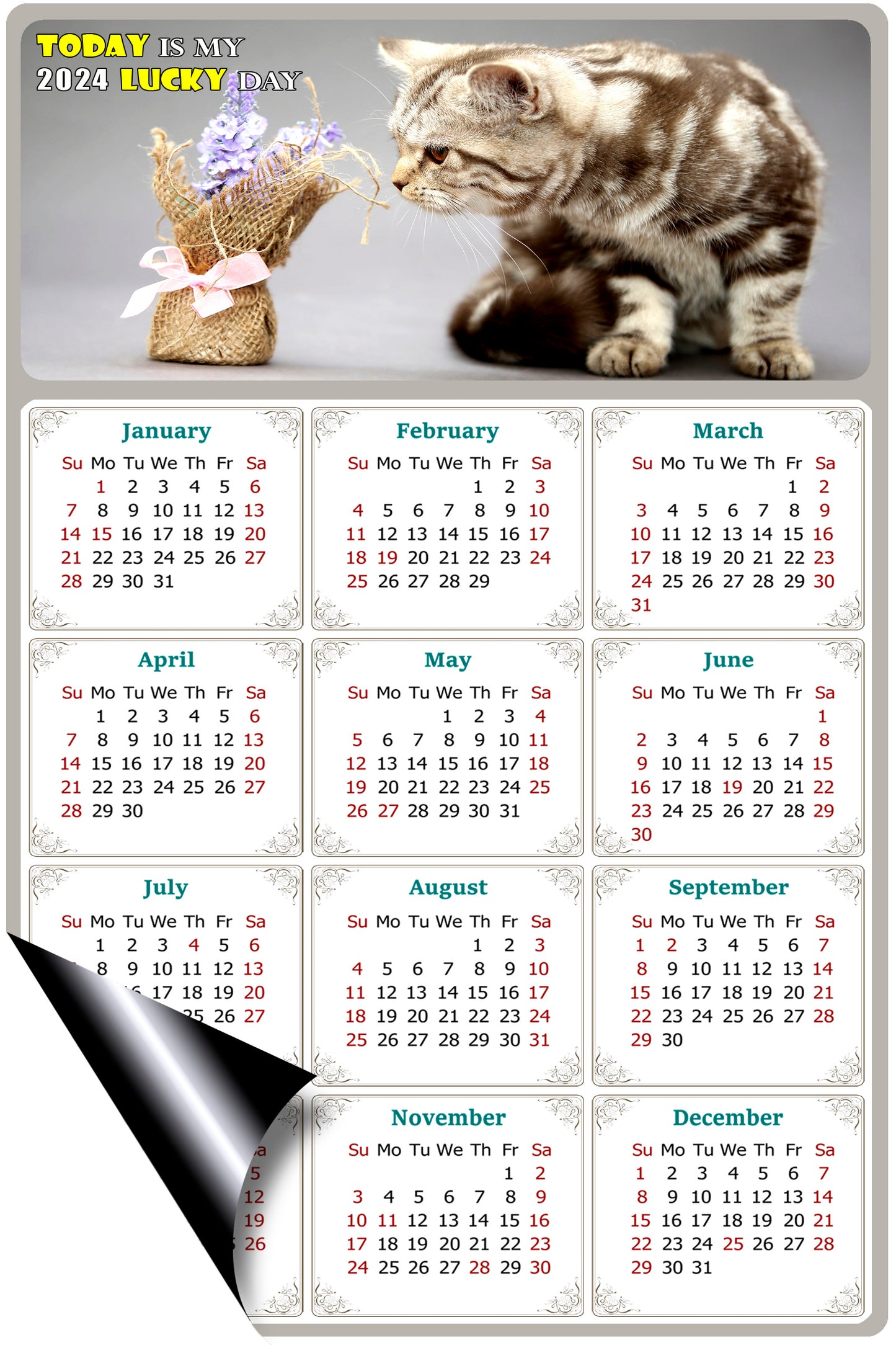 2024 Magnetic Calendar - Today is My Lucky Day (Fade, Tear, and Water Resistant)- Cat Themed 025