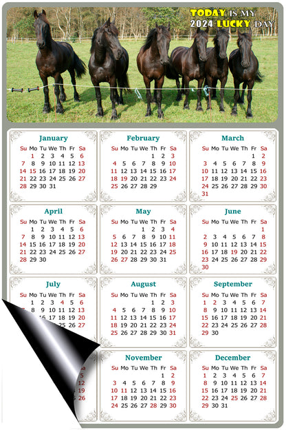 2024 Magnetic Calendar - Calendar Magnets - Today is my Lucky Day - (Fade, Tear, and Water Resistant) - Horses Themed 06