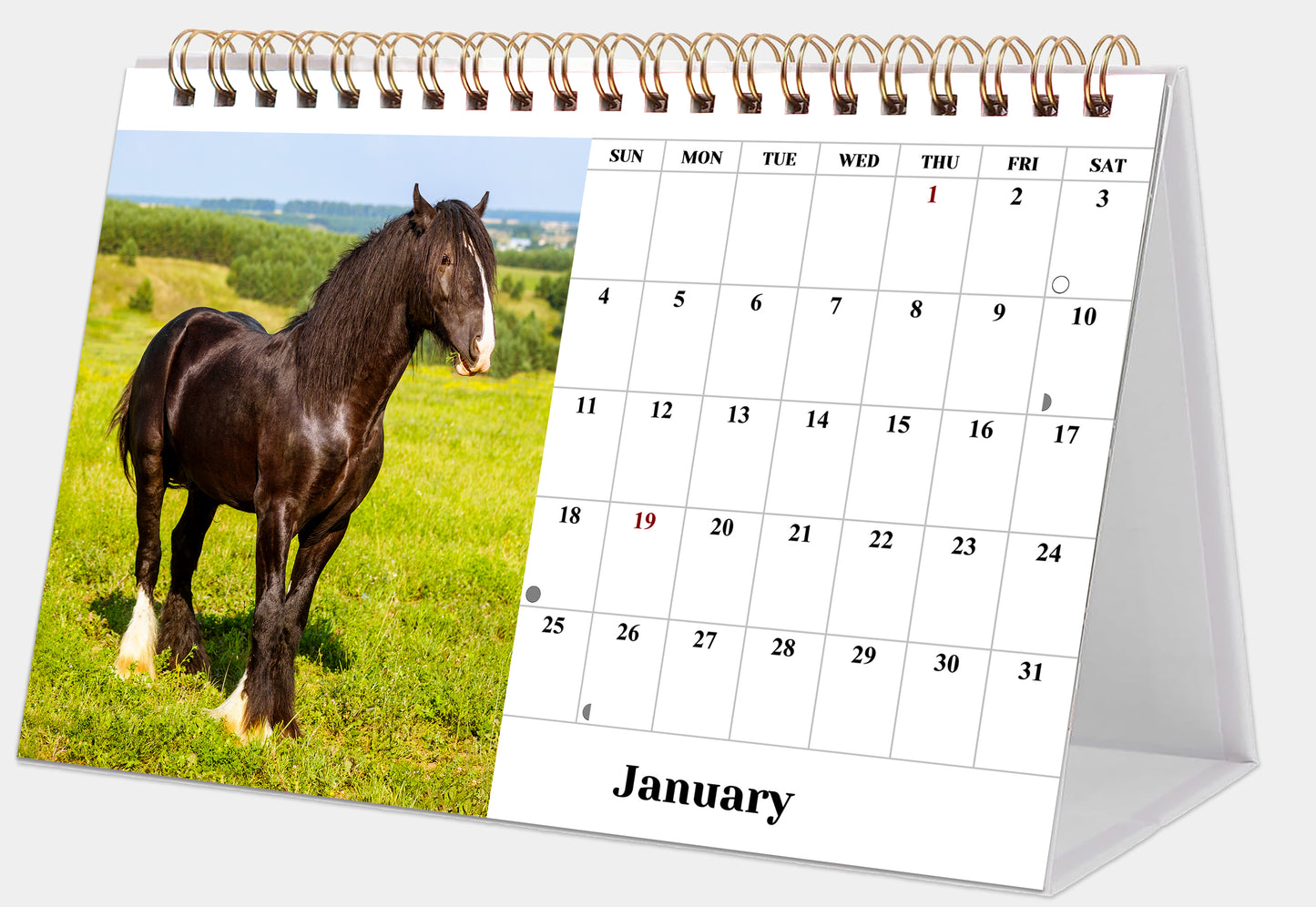 2026-12 Months Desk Calendar Desktop Planner with To-Do List (Horses)