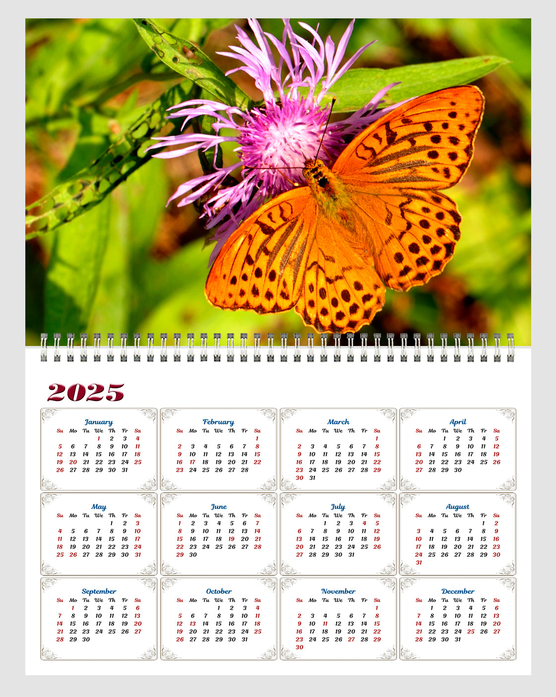 2024 Spiral-bound Wall Calendar (Butterflyes) - 12 Months Desktop/Wall Calendar/Planner