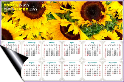 2024 Magnetic Calendar - Calendar Magnets - Today is my Lucky Day - (Fade, Tear, and Water Resistant) - Sunflowers