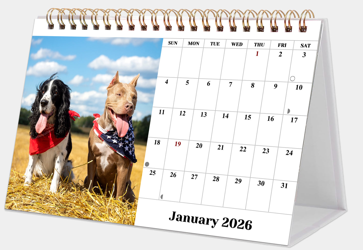 2026-12 Months Desk Calendar Desktop Planner with To-Do List (Dogs)