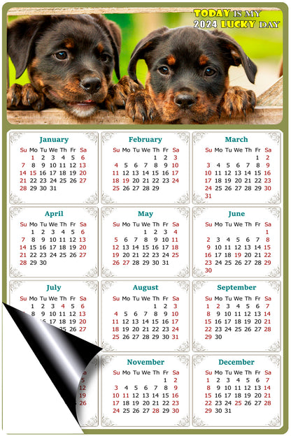2024 Magnetic Calendar - Today is My Lucky Day (Fade, Tear, and Water Resistant)- Dogs Themed 04