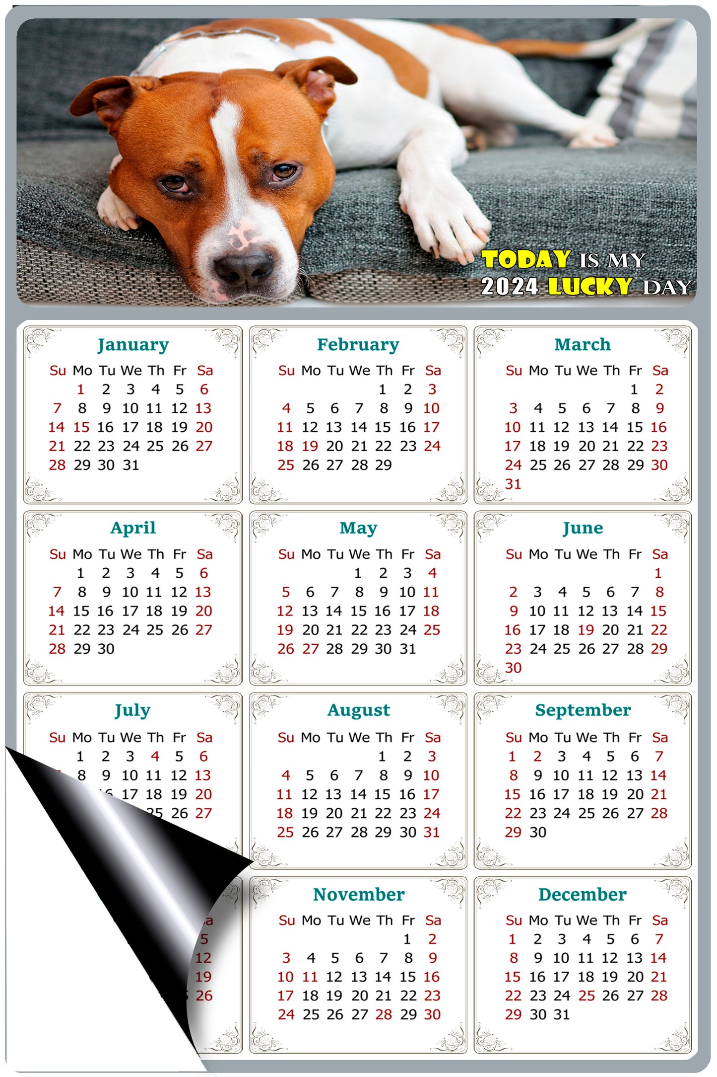 2024 Magnetic Calendar - Today is My Lucky Day (Fade, Tear, and Water Resistant)- Dogs Themed 017