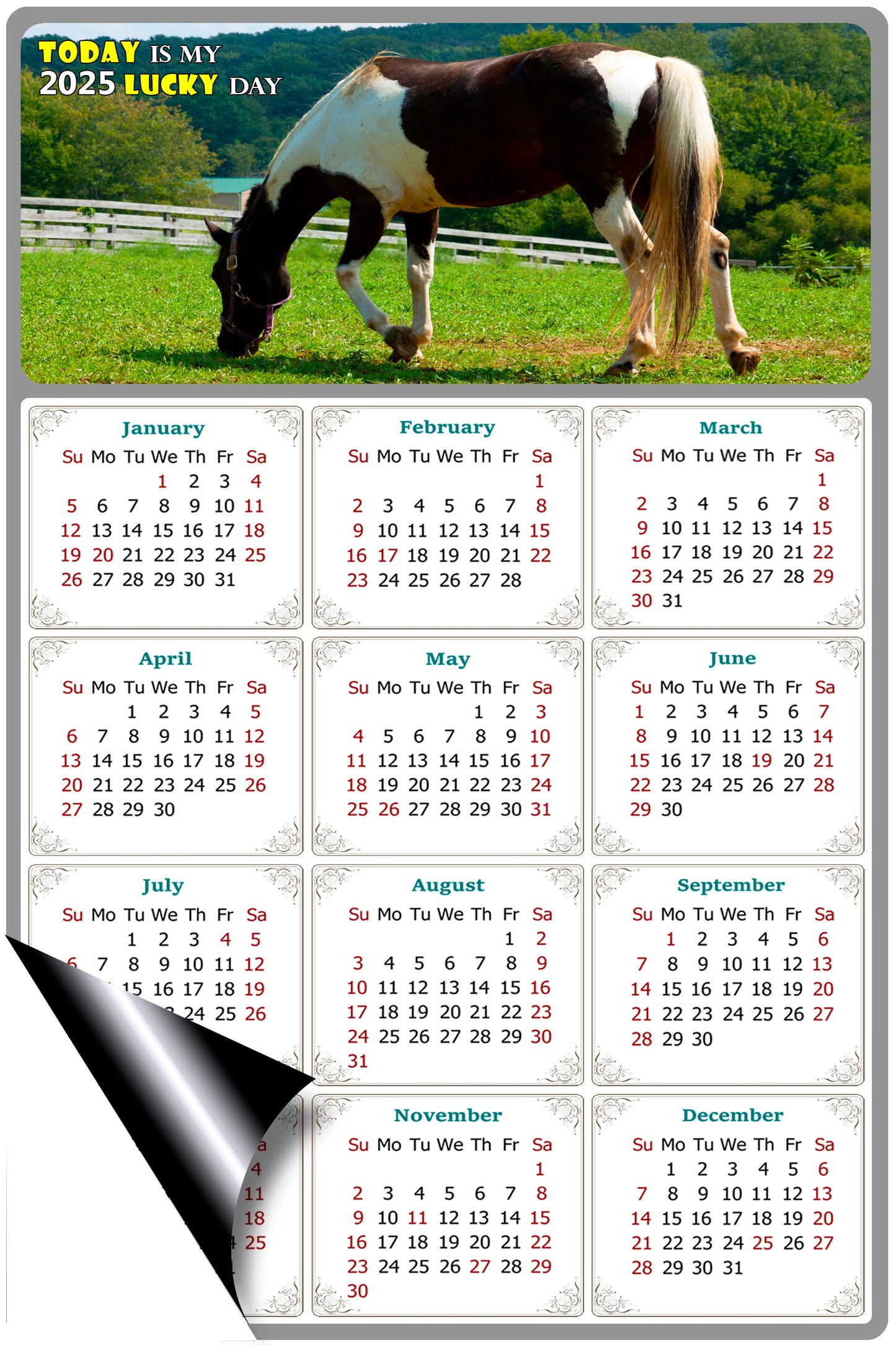 2025 Magnetic Calendar - Calendar Magnets - Today is my Lucky Day - (Fade, Tear, and Water Resistant) - Horses Themed 020