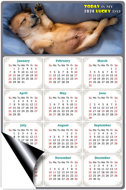 2024 Magnetic Calendar - Today is My Lucky Day (Fade, Tear, and Water Resistant)- Dogs Themed 013