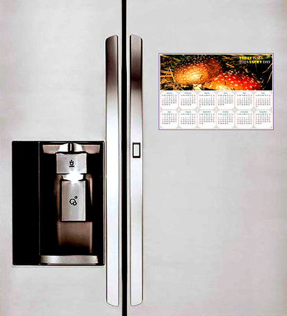 2024 Magnetic Calendar - Calendar Magnets - Today is my Lucky Day - Edition #38