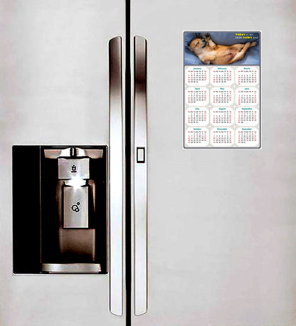2024 Magnetic Calendar - Today is My Lucky Day (Fade, Tear, and Water Resistant)- Dogs Themed 013