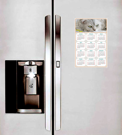 2024 Magnetic Calendar - Today is My Lucky Day (Fade, Tear, and Water Resistant)- Cat Themed 01