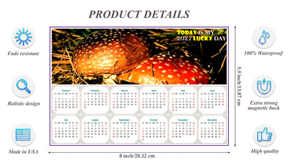 2027 Magnetic Calendar - Calendar Magnets - Today is my Lucky Day - Edition #38
