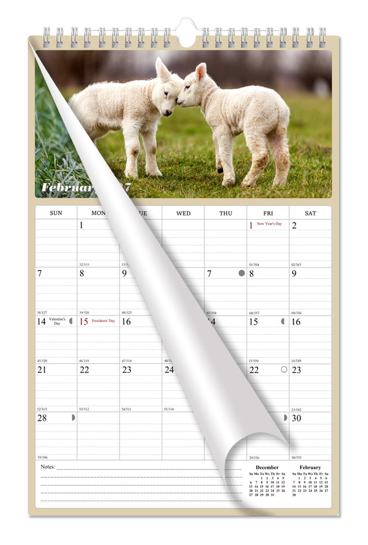 2027 Wall Calendar Spiral-bound Twin-Wire Binding - 12 Months Planner - Large Ruled Blocks with Julian Dates - (Baby Animals)