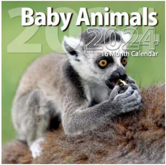 2024 Baby Animals Full Size Wall Calendar for Planning, Scheduling, and Organizing
