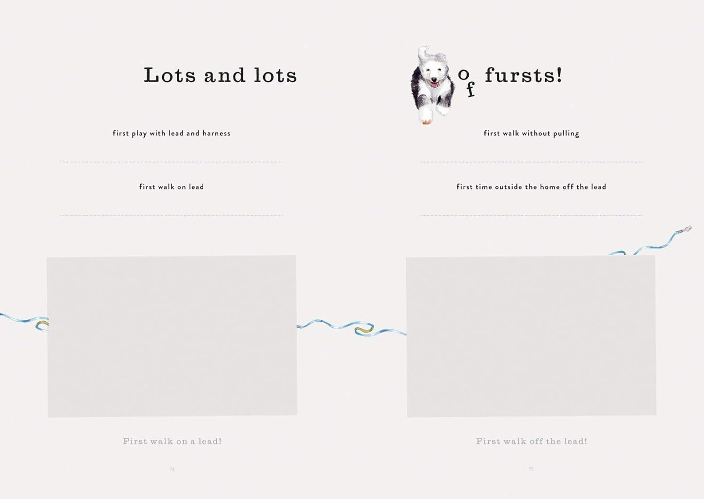 My Dog's First Year: A Journal Hardcover Book